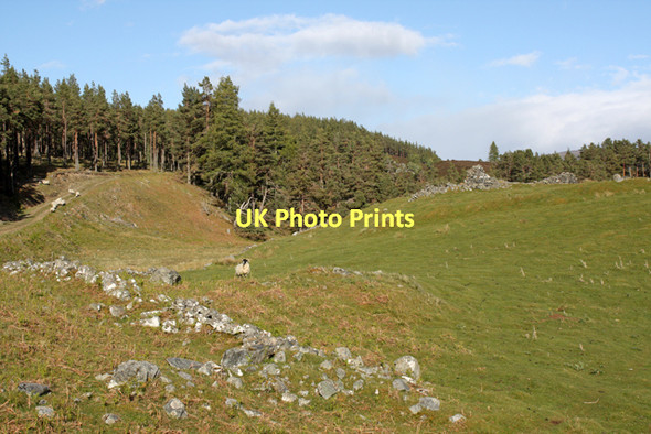 Photo 6"x4" Ruins of Knockannakeist Cromdale c2011