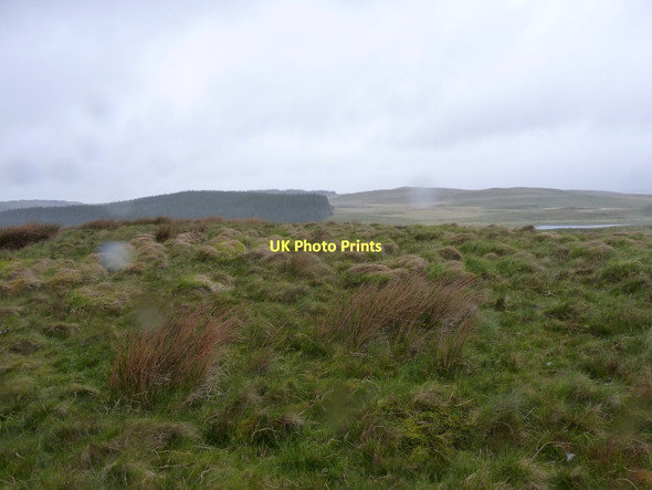Photo 6"x4" Moorland above Llyn Gorast Llyn Gorast c2011