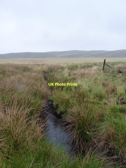 Photo 6"x4" Infant Afon Tywi Source of Afon Tywi c2011