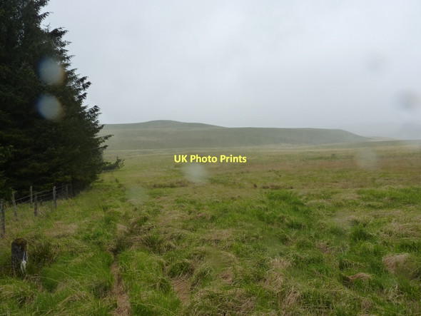 Photo 6"x4" Down the hillside of Crug yr Wyn Crug yr Wyn c2011