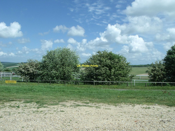 Photo 6"x4" Western edge of Goodwood racecourse Charlton\/SU8812 c2011