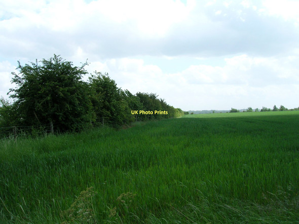 Photo 6"x4" Farmland near Cadeby Conisbrough c2011