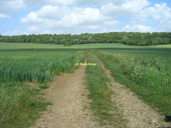 Photo 6"x4" Farm Track off Pasture Lane Conisbrough c2011