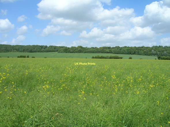 Photo 6"x4" Farmland off Pasture Lane High Melton c2011