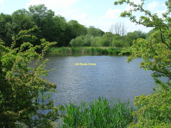 Photo 6"x4" River Dearne Nature Reserve Mexborough c2011