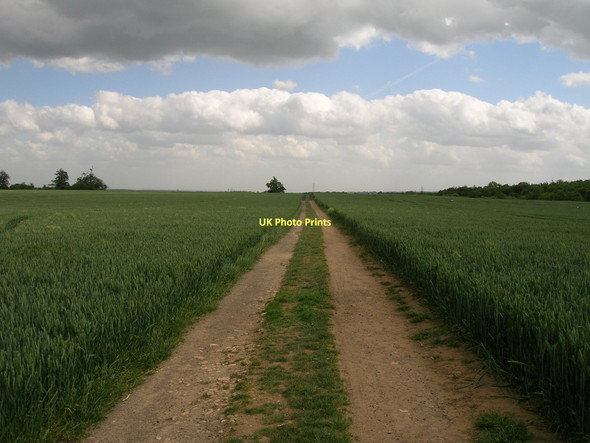 Photo 6"x4" Farm track off Back Lane heading south Bentley\/SE5605 c2011