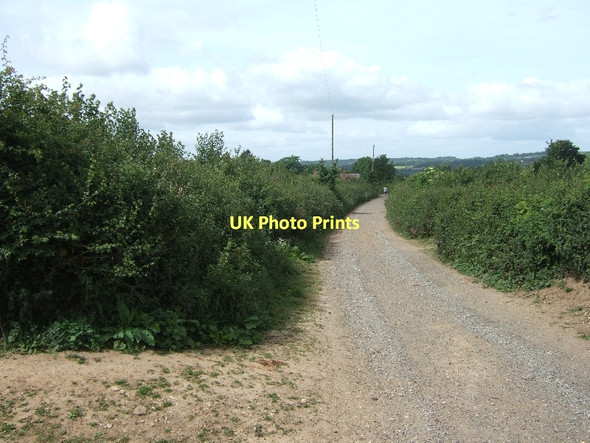 Photo 6"x4" Track to Holcombe Barton Ottery St Mary c2011