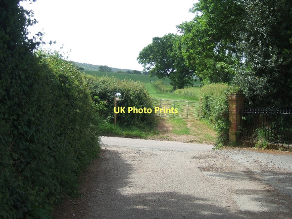 Photo 6"x4" Junction of bridlepath from Holcombe Barton Ottery St Mary c2011