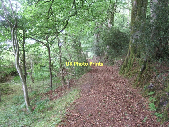 Photo 6"x4" Footpath on Chineway Hill Ottery St Mary c2011