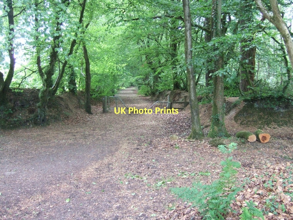 Photo 6"x4" Muddy Lane through Crowpits Covert Gittisham c2011