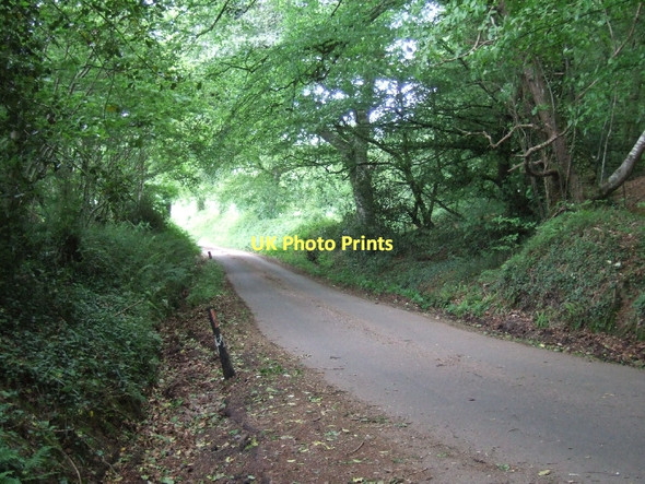 Photo 6"x4" Minor road to Westgate Ottery St Mary c2011