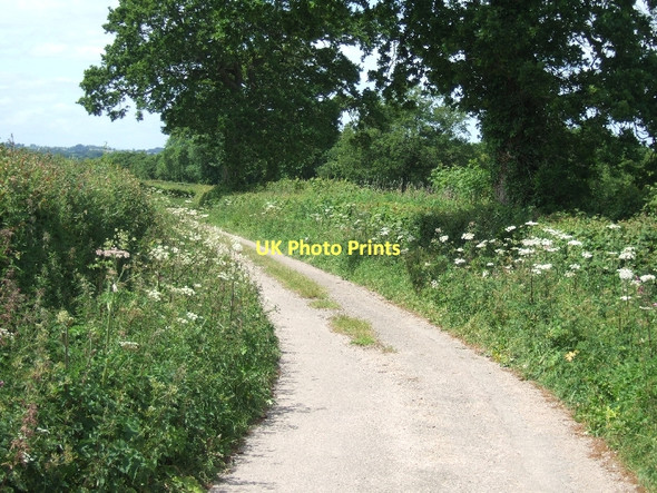 Photo 6"x4" Old road from Gittisham to Halls Farm Gittisham c2011