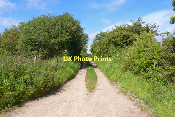 Photo 6"x4" Footpath at Lower Pennington Lymington c2011