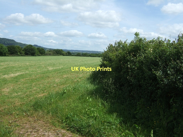 Photo 6"x4" Fields north of Gittisham Gittisham c2011