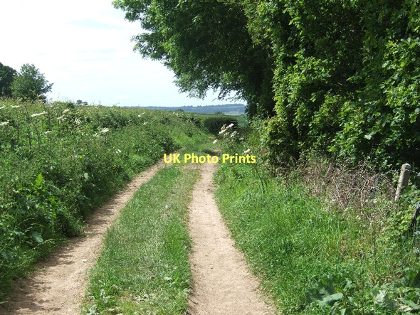Photo 6"x4" Farm track beside railway line Buckerell c2011