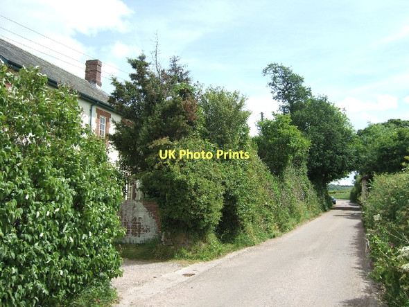 Photo 6"x4" Road at Truances Alfington c2011