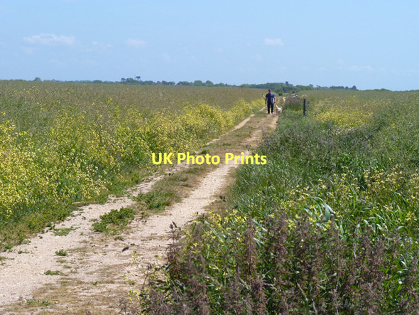 Photo 6"x4" Footpath at Milford on Sea Lymore\/SZ2992 c2011
