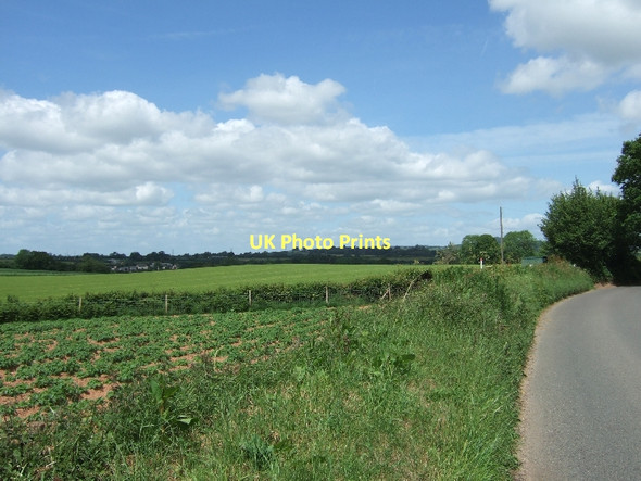 Photo 6"x4" Potato field by the B3177 Ottery St Mary c2011