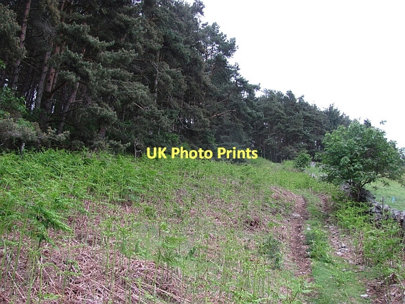 Photo 6"x4" Quad bike track, Gatehopeknowe Holylee c2011
