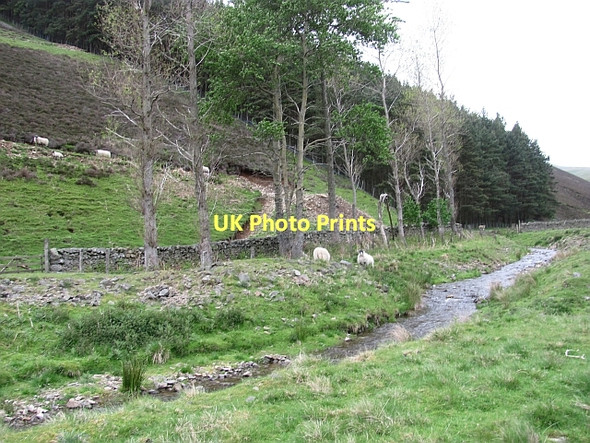 Photo 6"x4" Gatehopeknowe Burn Walkerburn c2011