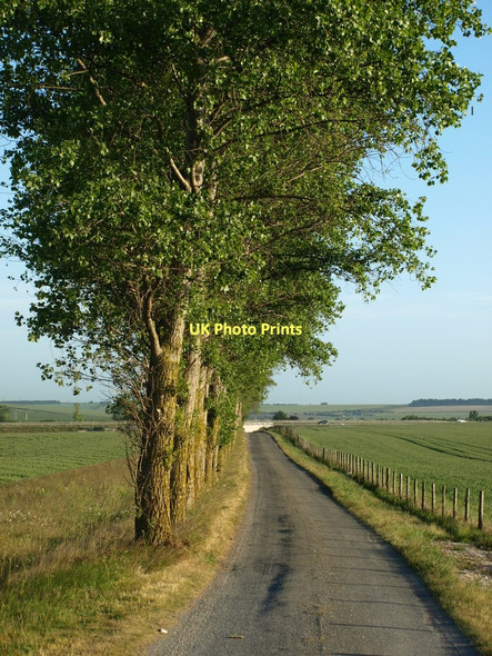 Photo 6"x4" Tree Lined Track Bygrave c2011
