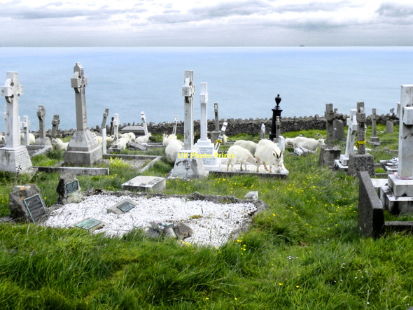 Photo 6"x4" St Tudno's Churchyard Llandudno c2011