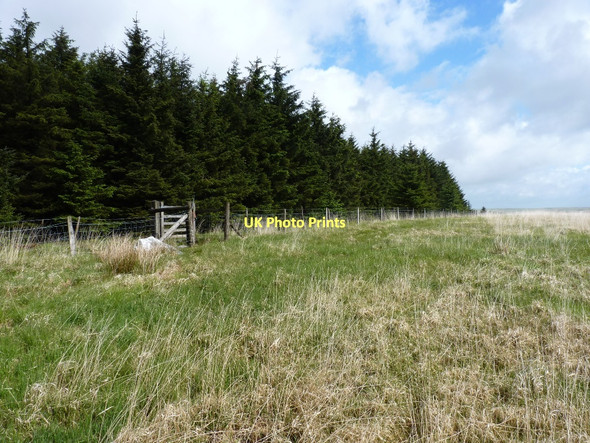Photo 6"x4" Bridleway where there didn't ought to be one Carreg Wen Fawr c2011