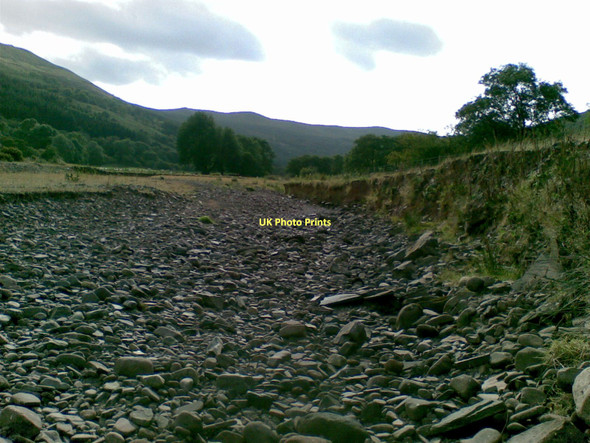 Photo 6"x4" Summer Glyn Collwyn Wern\/SO1117 c2007