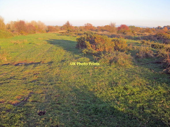 Photo 6"x4" Scrubland at Castlemorton Common Chandler's Cross\/SO7738 c2010