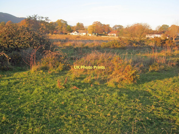 Photo 6"x4" West side of Castlemorton Common Marl Bank c2010