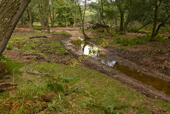 Photo 6"x4" Warwickslade Cutting: new stream bed Bank\/SU2807 c2009
