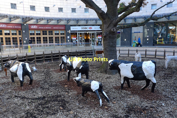 Photo 6"x4" The Concrete Cows, Central Milton Keynes Milton Keynes c2010