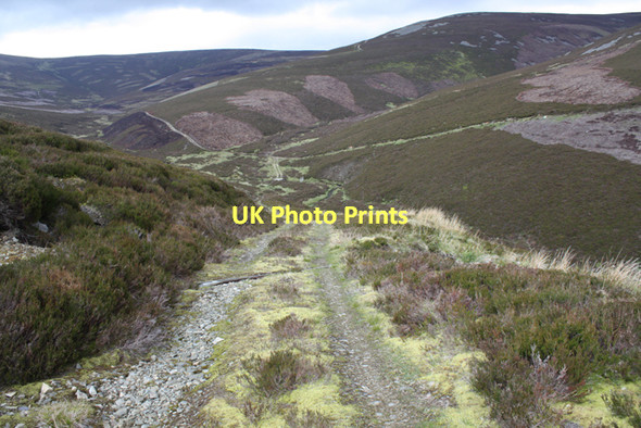 Photo 6"x4" Track on Finlate Hill Littleglen Burn c2011