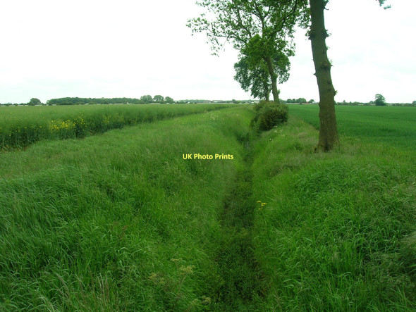 Photo 6"x4" Drainage ditch off West Moor Lane Dunsville c2011