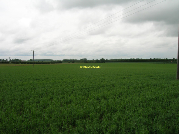 Photo 6"x4" Farmland north of the A18 Dunsville c2011