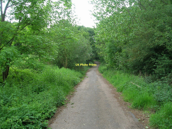 Photo 6"x4" Track through woodland, Kirk Sandall Barnby Dun c2011