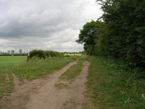 Photo 6"x4" Hatfield Lane (track) heading east Dunsville c2011