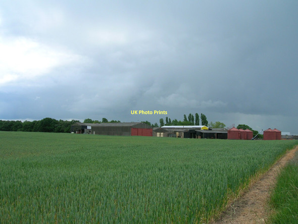 Photo 6"x4" Warren Farm, Dunsville Dunsville c2011