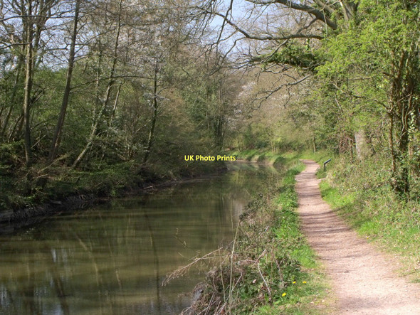 Photo 6"x4" Basingstoke Canal at Crookham Crookham Village c2010
