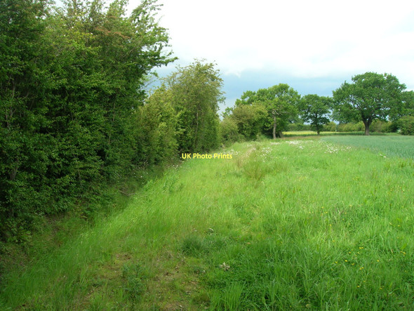 Photo 6"x4" Hedgerow and field near Ashfields Fishlake c2011