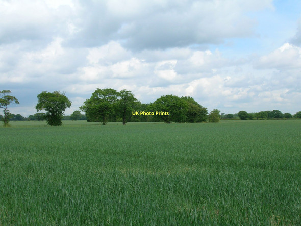 Photo 6"x4" Farmland near Ashfields Fishlake c2011