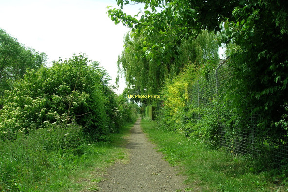 Photo 6"x4" Path beside the Stainforth and Keadby Canal heading west Far Bank\/SE6413 c2011