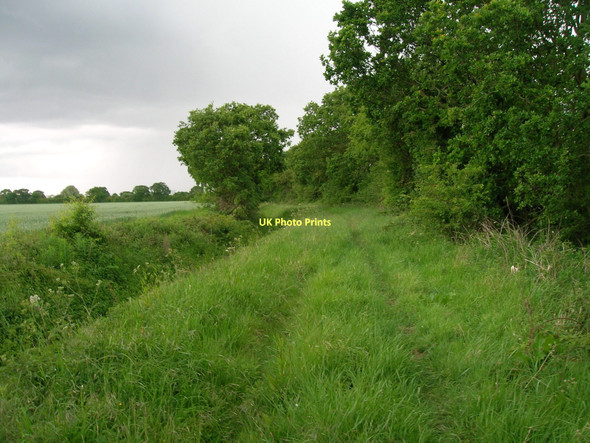 Photo 6"x4" Wood Lane (track) Far Bank\/SE6413 c2011