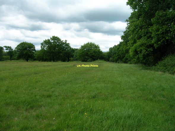 Photo 6"x4" Farmland near Tideworth Hague Gorse Mawson Green c2011