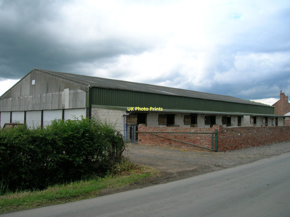 Photo 6"x4" Fern Farm Fosterhouses c2011