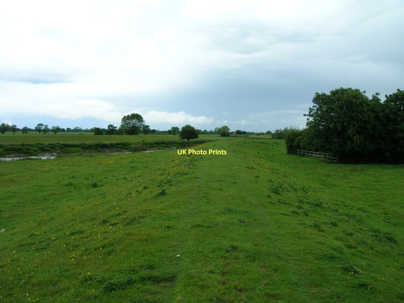 Photo 6"x4" River Don flood bank Pincheon Green c2011