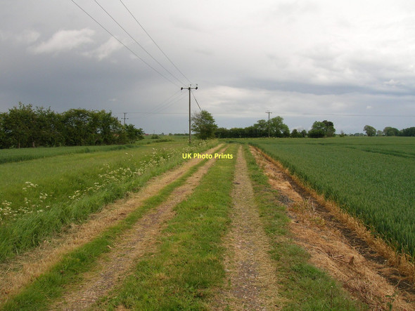 Photo 6"x4" Farm track off the A614 East Cowick c2011