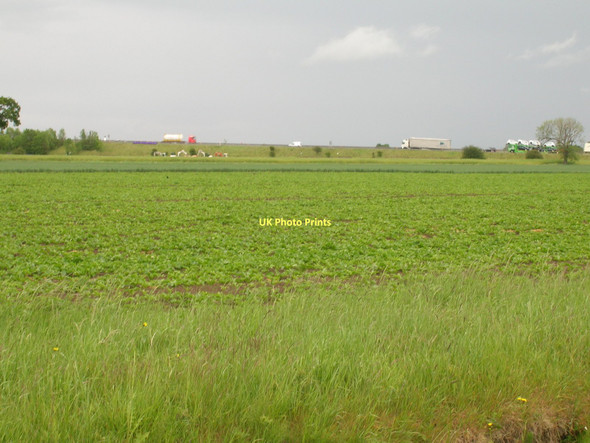 Photo 6"x4" Farmland off Greenland Lane, looking towards The M18 Rawcliffe\/SE6822 c2011