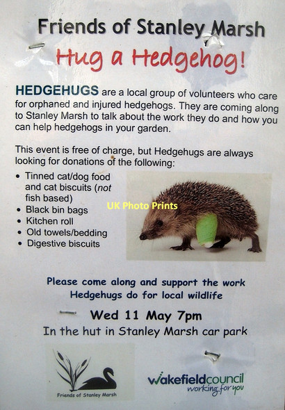 Photo 6"x4" Hug a Hedgehog Stanley\/SE3424 c2011