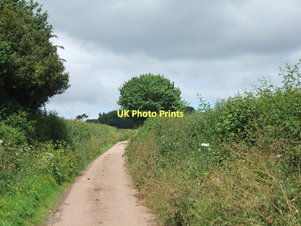 Photo 6"x4" Minor road running north on Staplake Mount Cofton c2011